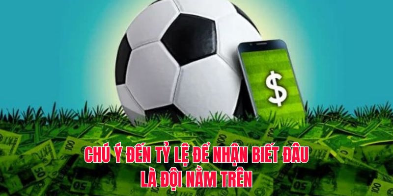 Chú ý đến tỷ lệ để nhận biết đâu là đội nằm trên