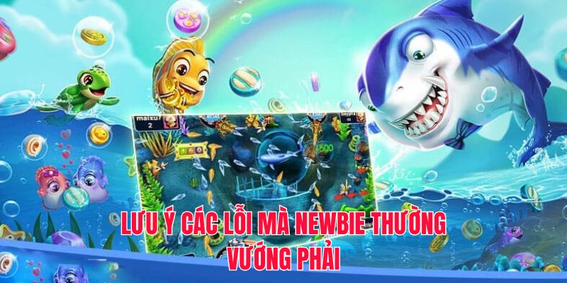 Lưu ý các lỗi mà newbie thường vướng phải