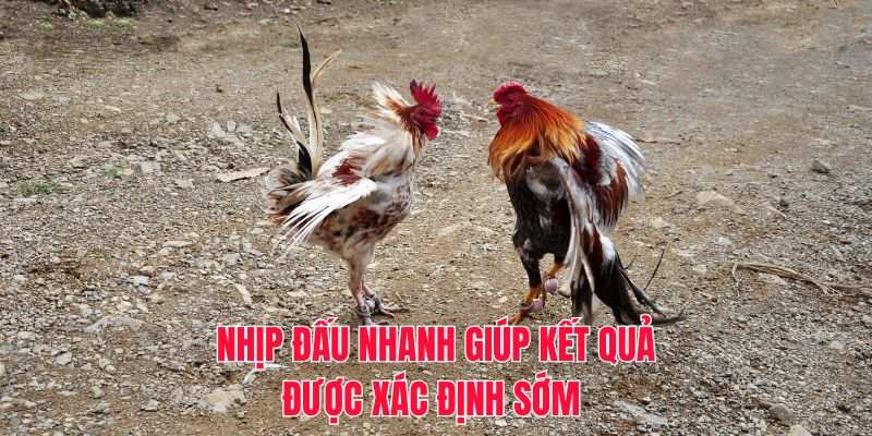 Nhịp đấu nhanh giúp kết quả được xác định sớm